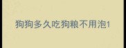 狗狗多久吃狗粮不用泡