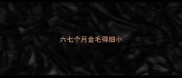 六七个月金毛得细小