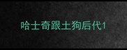 哈士奇跟土狗后代