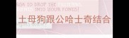 土母狗跟公哈士奇结合