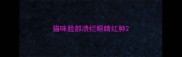 猫咪脸部溃烂眼睛红肿
