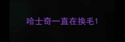 哈士奇一直在换毛