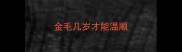 金毛几岁才能温顺