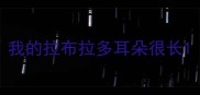 我的拉布拉多耳朵很长