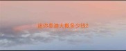 迷你泰迪大概多少钱