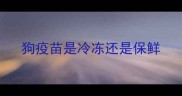 狗疫苗是冷冻还是保鲜