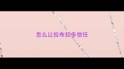 怎么让拉布拉多信任