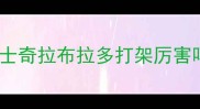 哈士奇拉布拉多打架厉害吗