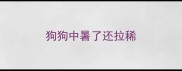狗狗中暑了还拉稀
