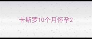 卡斯罗10个月怀孕