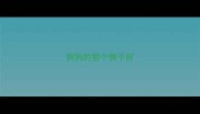 狗狗的那个牌子好