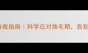 春季猫咪掉毛季自救指南科学应对换毛期告别满屋毛絮的烦恼