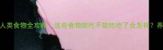 泰迪犬吃人类食物全攻略这些食物能吃不能吃吃了会怎样养狗人必看