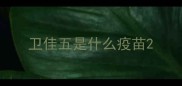 卫佳五是什么疫苗