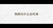 狗狗为什么会吃草