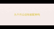 九个月公边牧能配种吗