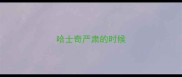 哈士奇严肃的时候