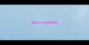 塘沽24小时宠物医院