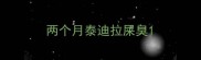 两个月泰迪拉屎臭