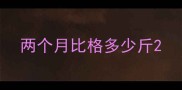 两个月比格多少斤