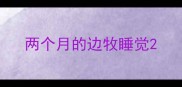 两个月的边牧睡觉