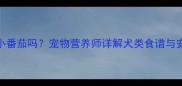 哈士奇能吃小番茄吗宠物营养师详解犬类食谱与安全喂养指南