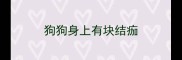 狗狗身上有块结痂