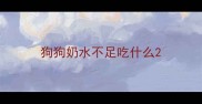 狗狗奶水不足吃什么