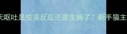 疫苗后三天呕吐是疫苗反应还是生病了新手猫主子护理全攻略