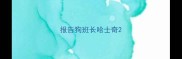 报告狗班长哈士奇