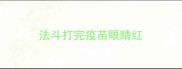 法斗打完疫苗眼睛红