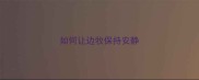 如何让边牧保持安静