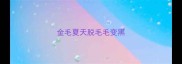 金毛夏天脱毛毛变黑