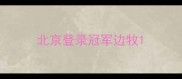 北京登录冠军边牧