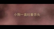 小狗一直吐着舌头