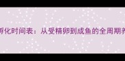 罗汉鱼孵化时间表从受精卵到成鱼的全周期养殖指南