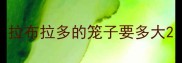 拉布拉多的笼子要多大