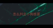 怎么判定小狗感冒