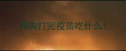 狗狗打完疫苗吃什么