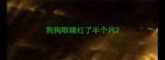 狗狗眼睛红了半个月
