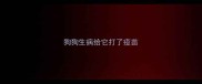 狗狗生病给它打了疫苗