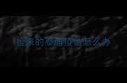 捡来的泰迪疫苗怎么办