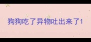 狗狗吃了异物吐出来了