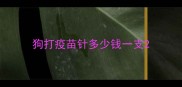 狗打疫苗针多少钱一支