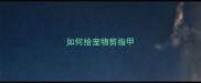 如何给宠物剪指甲
