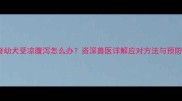 哈士奇幼犬受凉腹泻怎么办资深兽医详解应对方法与预防措施
