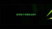 宠物兔子有哪些品种