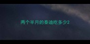 两个半月的泰迪吃多少