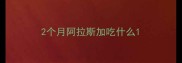 2个月阿拉斯加吃什么