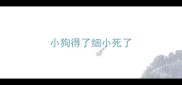 小狗得了细小死了